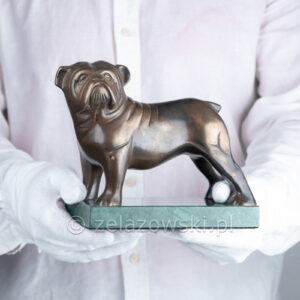 Figura Pies Buldog Z36 Mosiądz Patynowany