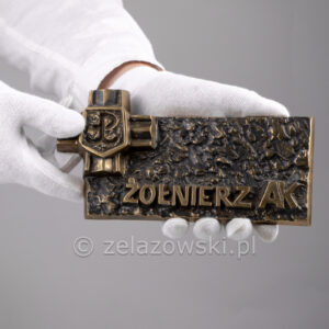 Medalion Żołnierz AK ME17 Tabliczka Krzyż Armii Krajowej Mosiężny Patynowany